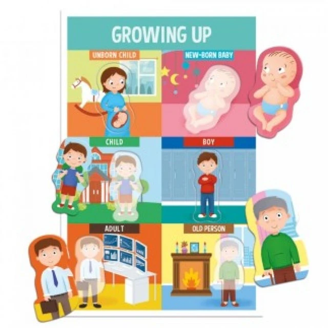 How we are made - Montessori