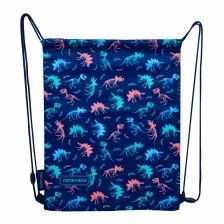 Sports team bag ASTRABAG Dinosaurs, AD1, 40 × 33 cm