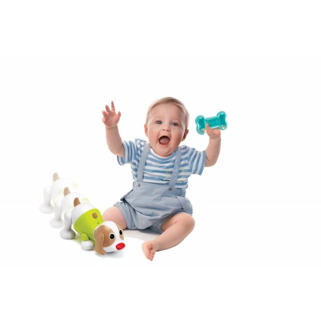 Interactive toy, Infantino, Dog with bone