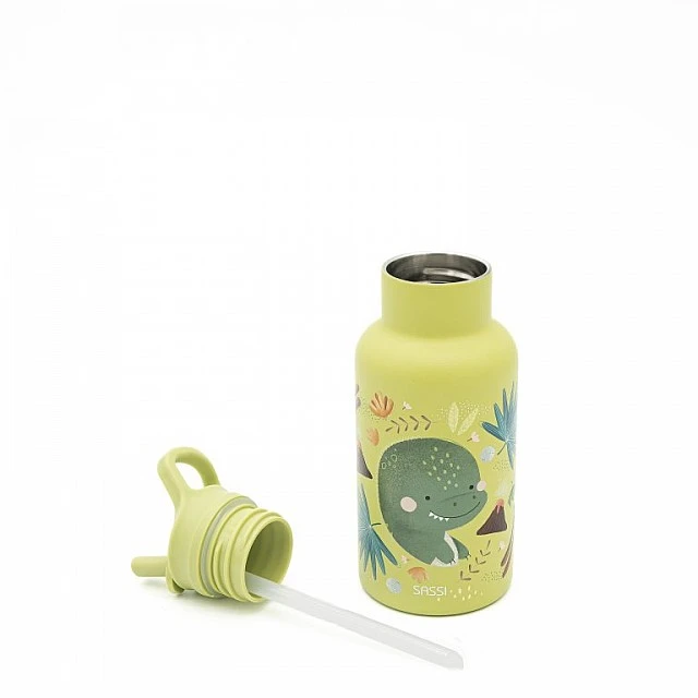 Stainless steel thermos bottle, Sassi, 350ml, Dinosaur