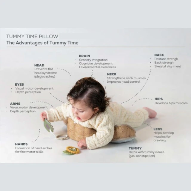 Plush baby pillow, Taf Toys, Teddy bear, 40 x 27 x 11 cm