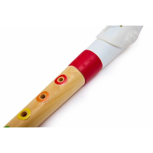 Mini recorder for beginners, Hape