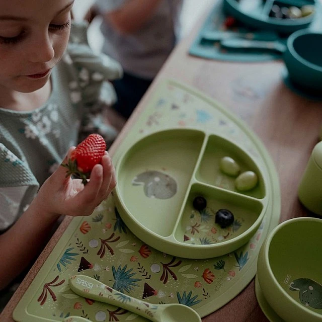 Silicone vacuum feeding bowl, Sassi, Dinosaur
