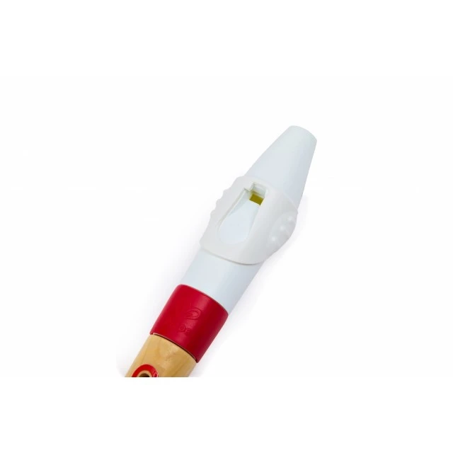 Mini recorder for beginners, Hape