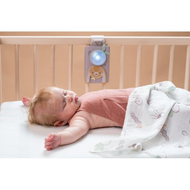 Комплект музикално зайче с бял шум и одеалце, Taf Toys