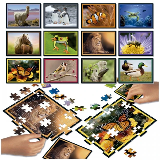 Puzzle battle set Educa 12 x 42 pieces Nature