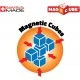 Magicube Magnetic Building Block, Insects and Cards 121, 11 Pieces