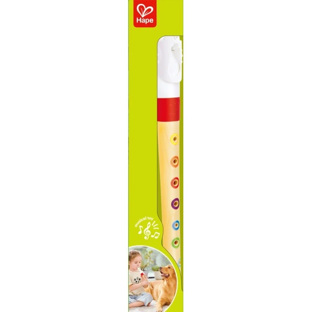 Mini recorder for beginners, Hape