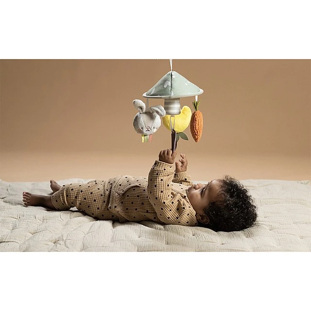 Interactive toy Garden Pram Mobile, 17 x 17 x 35 cm