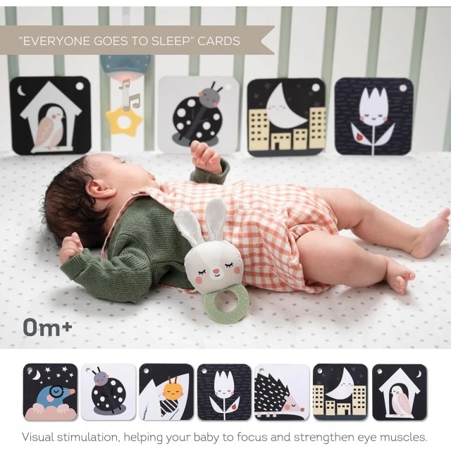 Комплект за новородено, Taf Toys, Време е за сън, 12 части