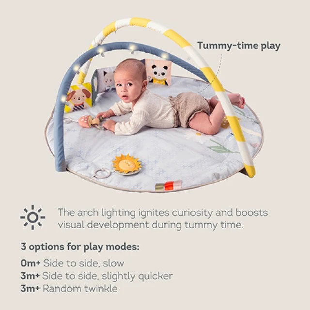 Musical active gymnastics, Taf Toys, With LED lights