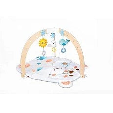 Бебещка активна гимнастика, Hape
