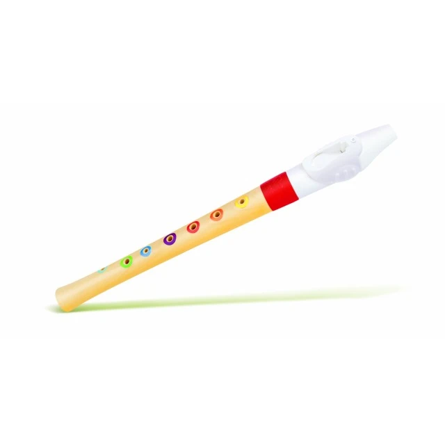 Mini recorder for beginners, Hape