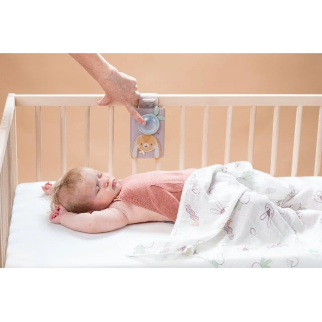Комплект музикално зайче с бял шум и одеалце, Taf Toys