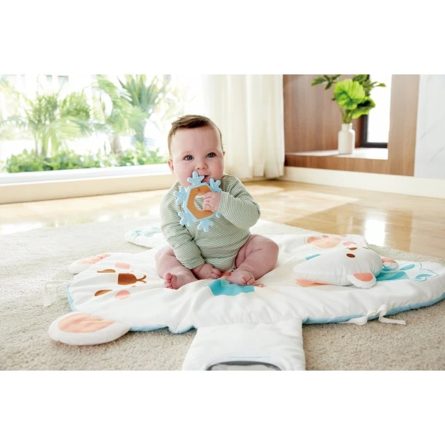 Baby activity gym, Hape