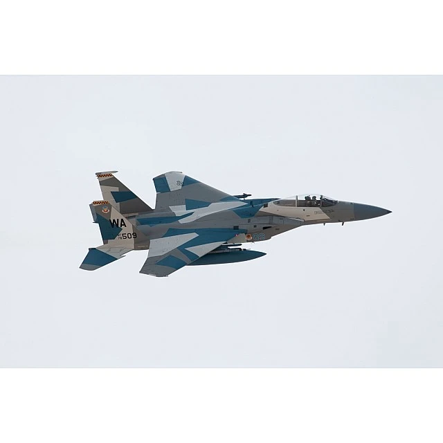 Assembly model, Revell, Boeing F-15C Eagle fighter, 200 parts