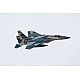 Assembly model, Revell, Boeing F-15C Eagle fighter, 200 parts