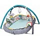 Active gymnastics ZMusic and lights, Koala, 100 x 80 x 53 cm