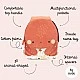 Small children's backpack, Sassi, Octopus