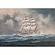 Комплект сглобяем модел Ветроходен кораб Gorch Fock, 75 части