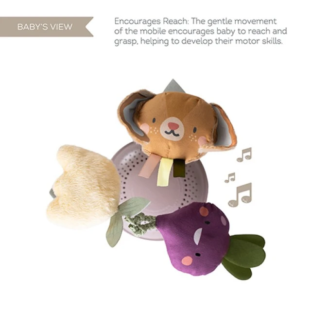 Interactive toy, Taf Toys, Musical Garden