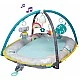 Active gymnastics ZMusic and lights, Koala, 100 x 80 x 53 cm