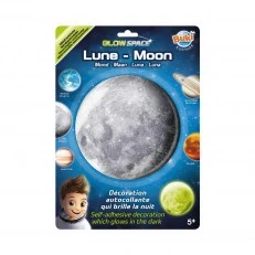 Cosmos - Phosphorescent Planet - Moon