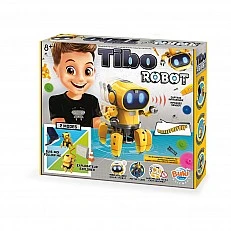Experiments - Thibault the Robot