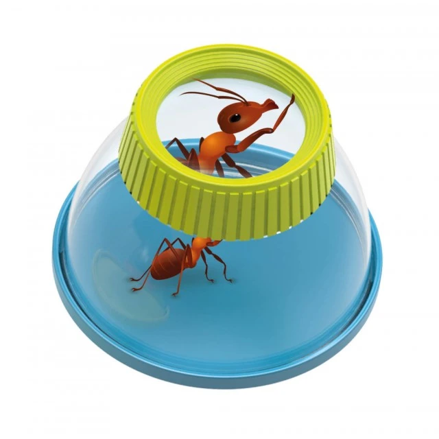 Mini science – Insect magnifier
