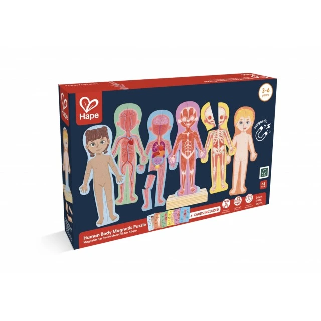 Образователен магнитен пъзел, Hape, човешко тяло, 68 части