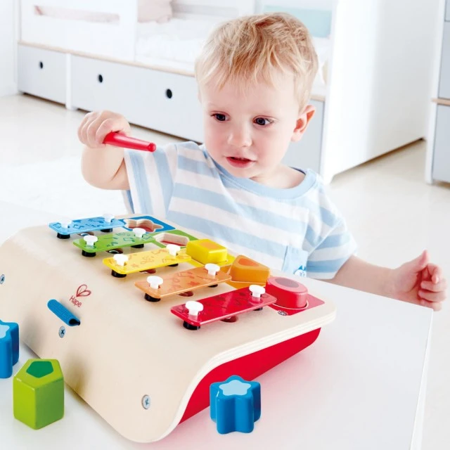 Xylophone and sorter set