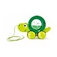 Childrens wooden turtle to pull