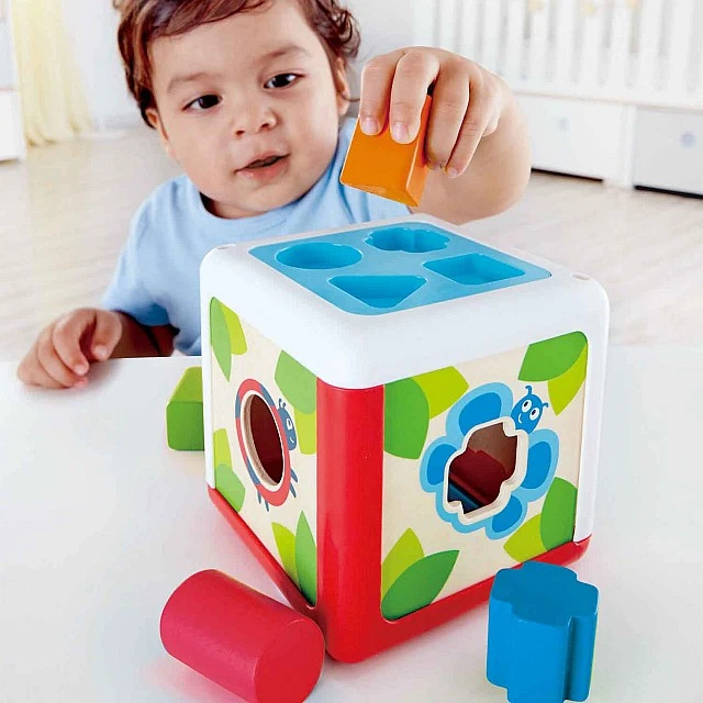 Shape Sorter Box