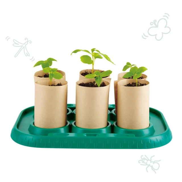 Young gardeners - Greenhouse