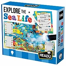 Играй и опознай Морски свят