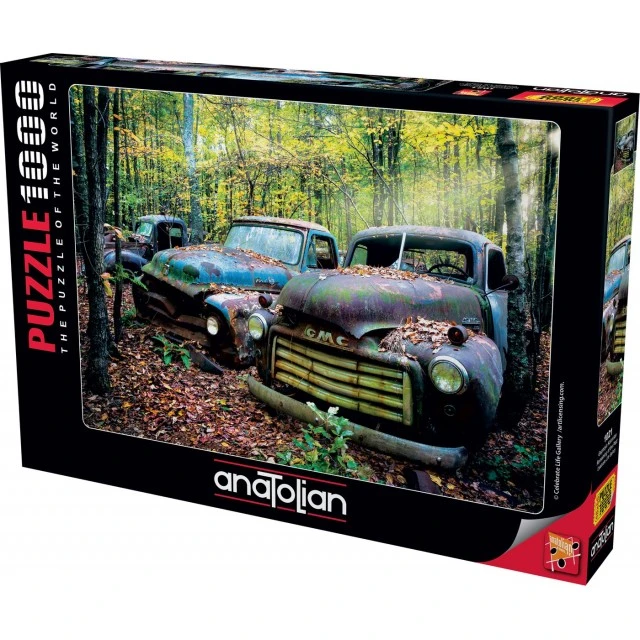 Memories of the past - puzzle 1000 pieces
