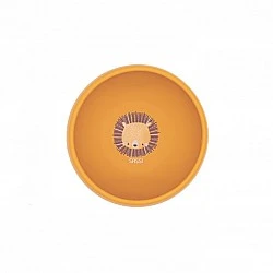 Silicone vacuum feeding bowl, Sassi, Lion cub