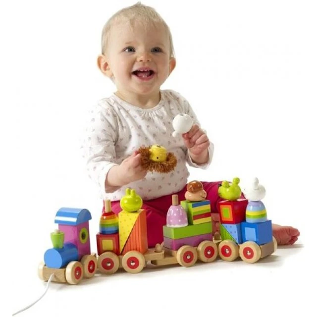 Large wooden train, puzzle and sorter - Animals Collection