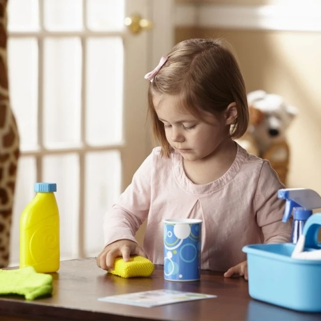Window and furniture cleaning kit