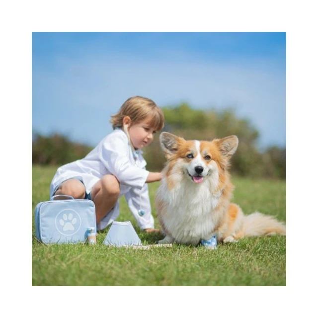 Childrens veterinary kit