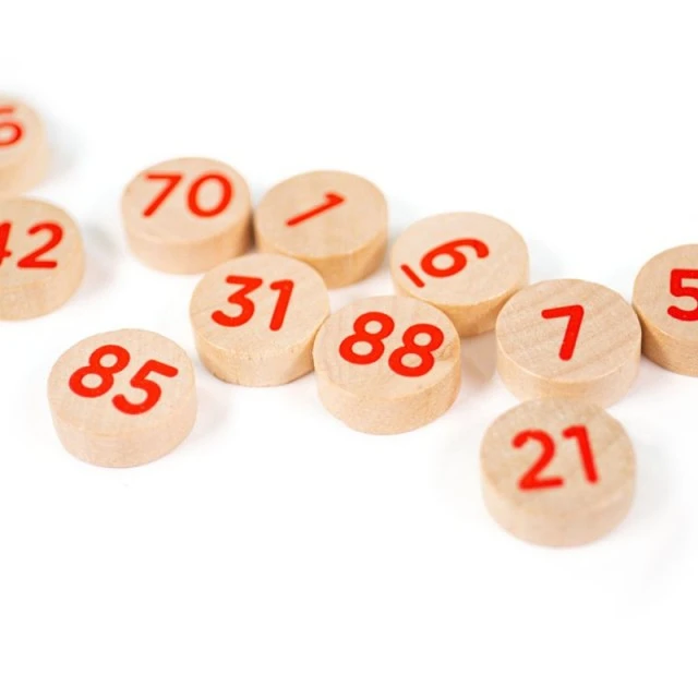 Bigjigs - Wooden Classic Bingo