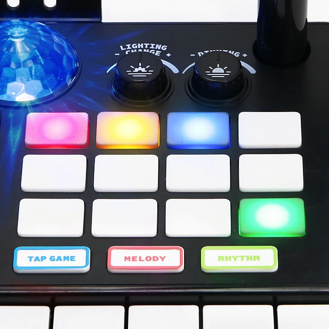 SOUNDZ DJ Console with Microphone