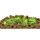 Т-Rex светещ в тъмното