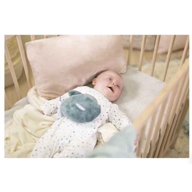 PETIT CALME fish hot water bottle