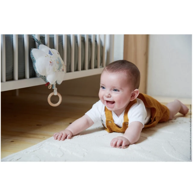 PETITES CHANSONS Musical Toy Green Mouse