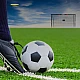 Dunlop football goal 300x200x120