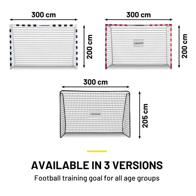 Dunlop football goal 300x200x110 cm
