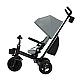 Kinderkraft AVEO 2 Plus tricycle GREY