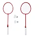 Donnay badminton set with 2 rackets