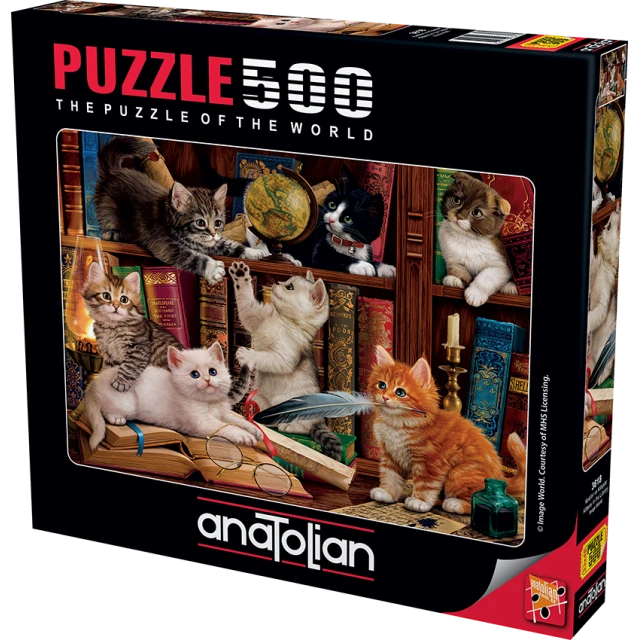 Kittens in the library - 500 pieces